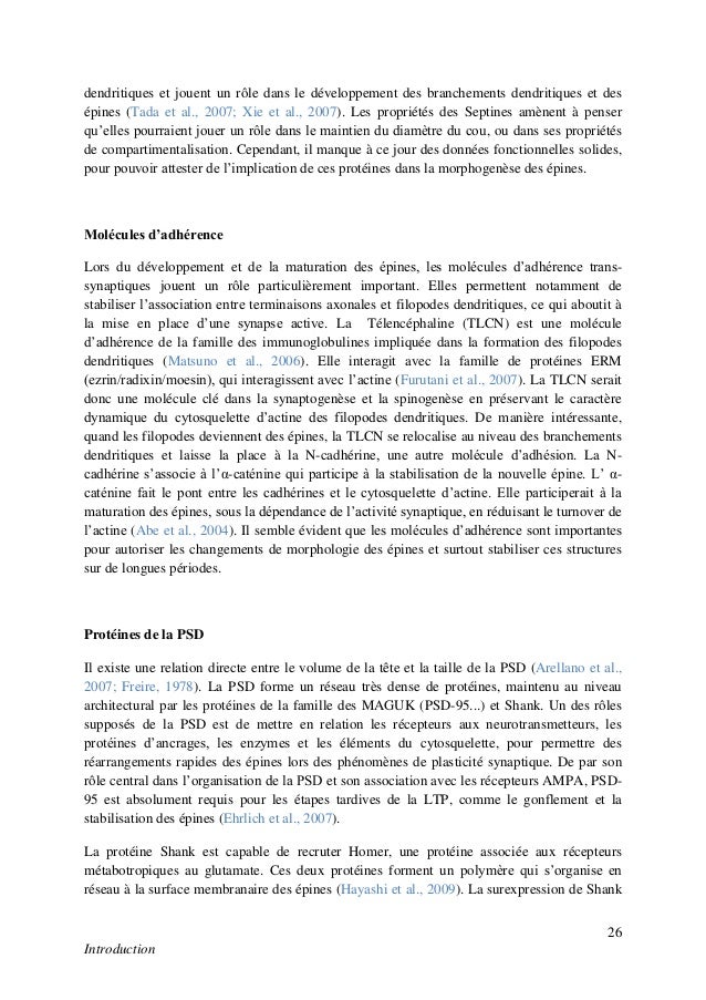 dissertation la synthèse des protéines dissertation la synthèse des protéines